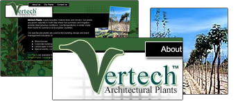 Vertech Plants